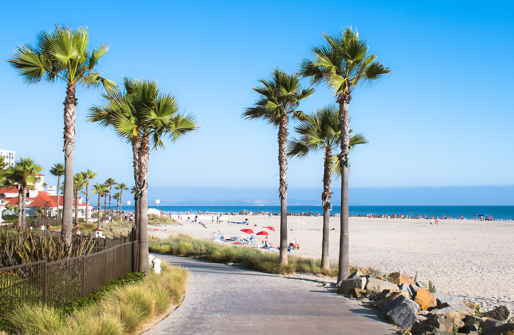 Plaża i palmy w San Diego, Wybrzeże Południowej Kalifornii, USA