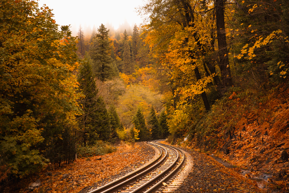 Jesień w Kalifornii, droga na Mount Shasta, licencja: shutterstock/By Iakov Latypov