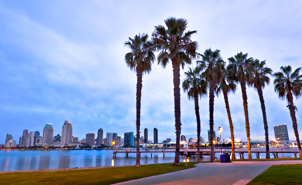 Kalifornijskie palmy i miasto San Diego, wycieczki do Kalifornia USA