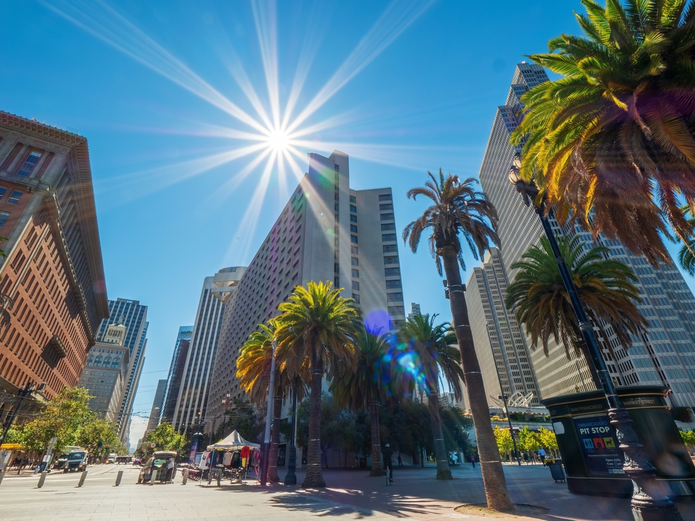 Financial District w San Francisco, USA, Palmy i blask słońca