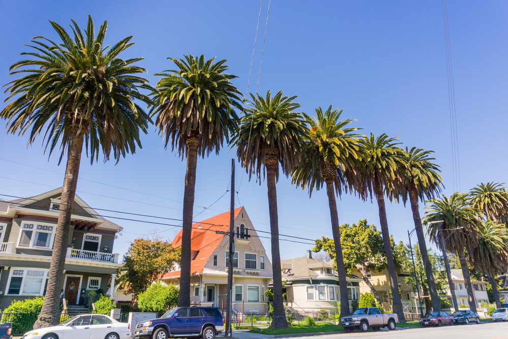 Stare domy i palmy na ulicy w centrum San Jose, Kalifornia