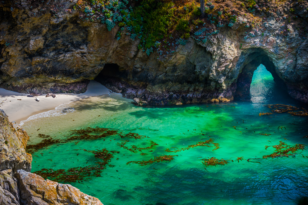  Point Lobos niedaleko Monterey, Kalifornia
