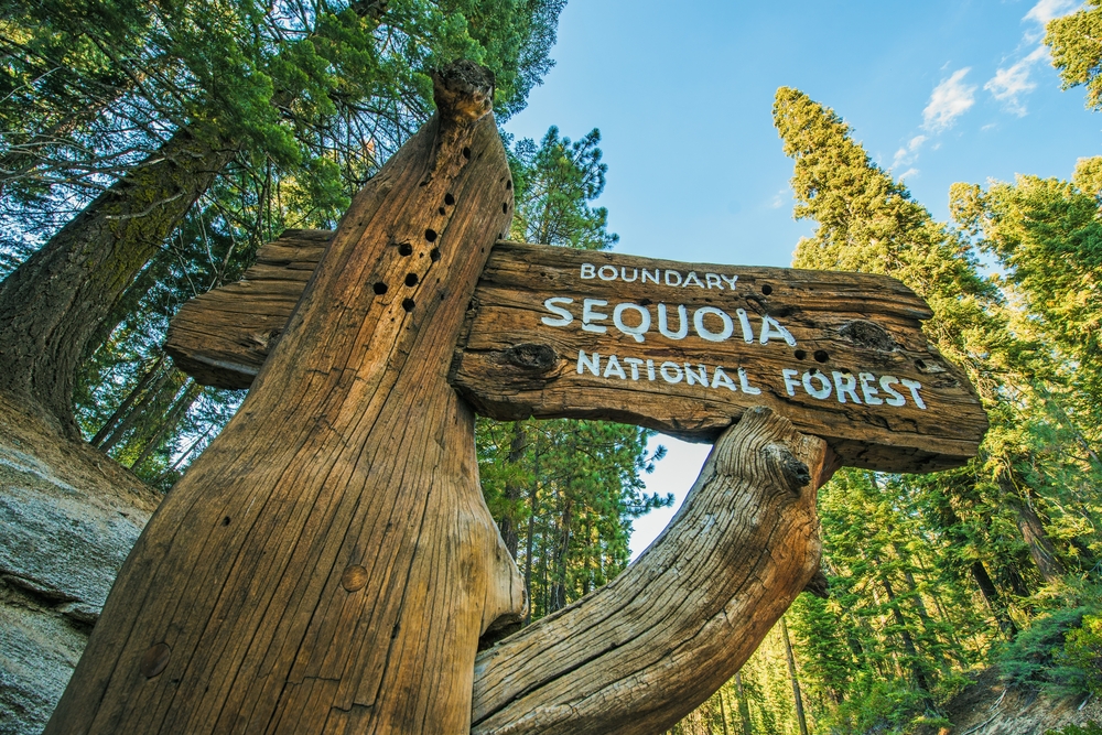 Sequoia, National Park, Kalifornia, USA