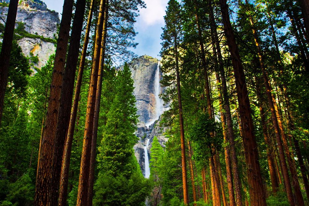 Wodospady Yosemite i sekwoje w Parku Narodowym Yosemite, Kalifornia